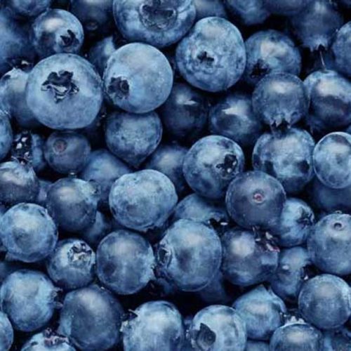 Blueberries